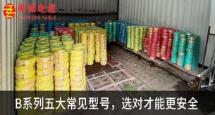 禪誠B系列電線：五大常見型號(hào)及安全選擇指南