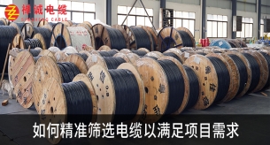 如何精準(zhǔn)篩選電纜以滿足項(xiàng)目需求