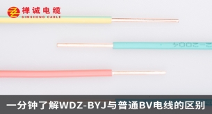 一分鐘了解WDZ-BYJ與普通BV電線的區(qū)別