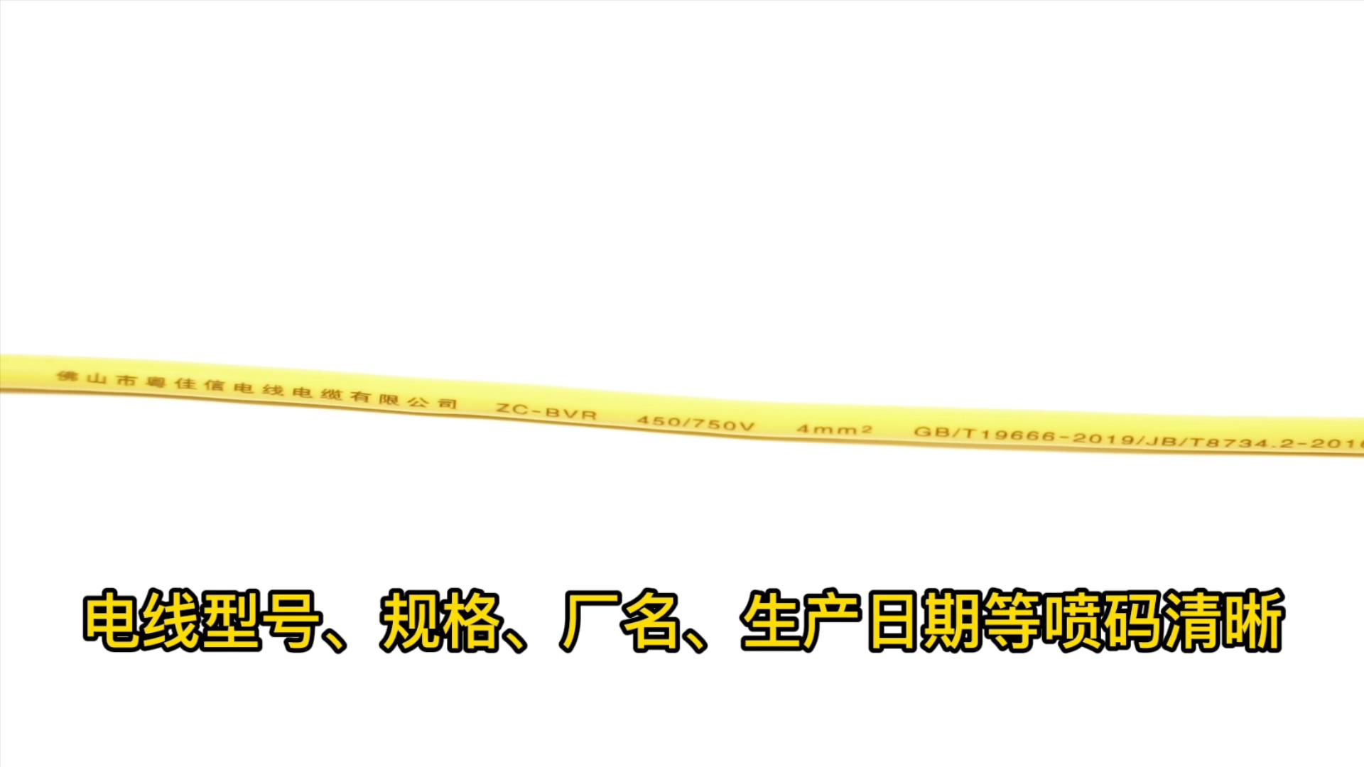 線身 線身