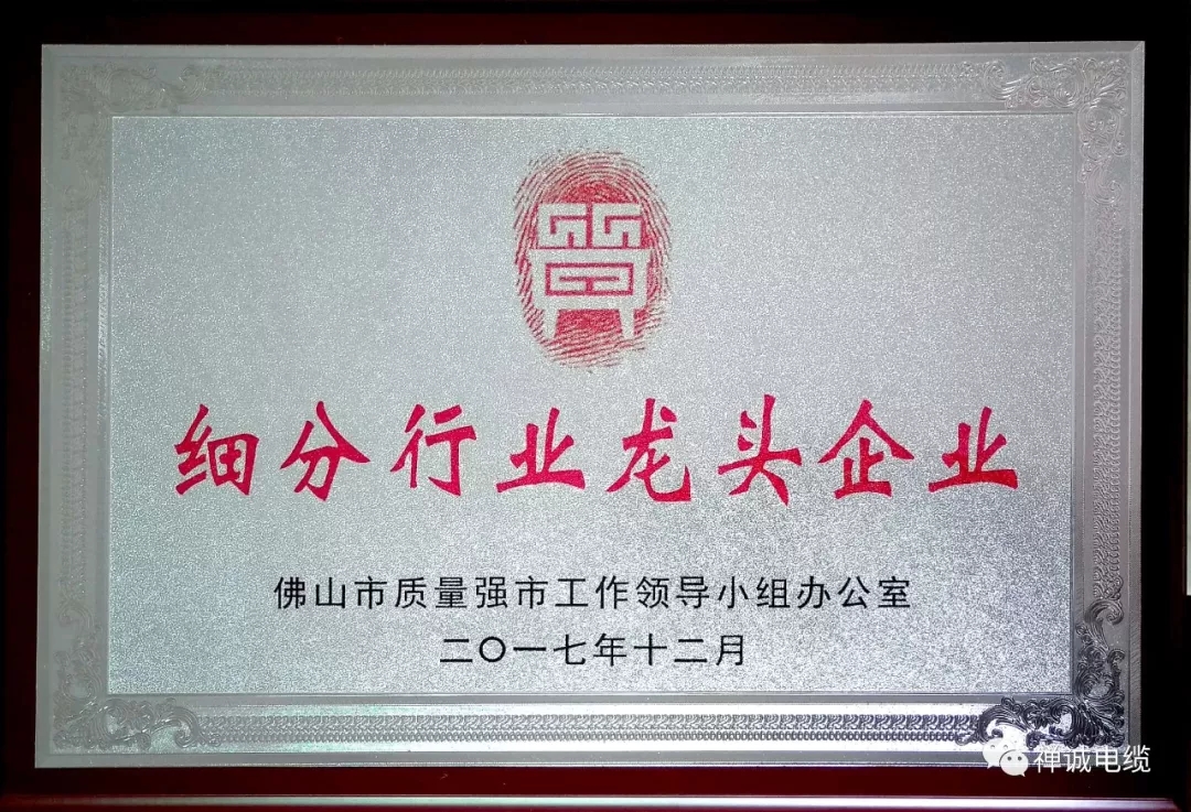 禪誠電纜證書